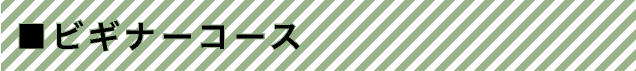 ビギナーコース